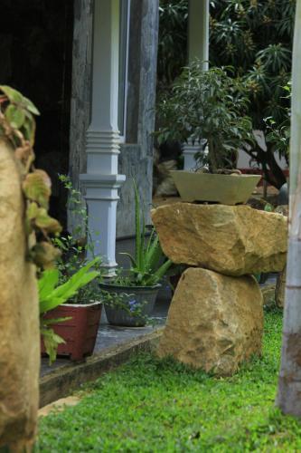 Дамбулла: Evergreen Hotel Dambulla