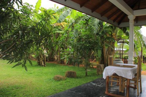 Дамбулла: Evergreen Hotel Dambulla