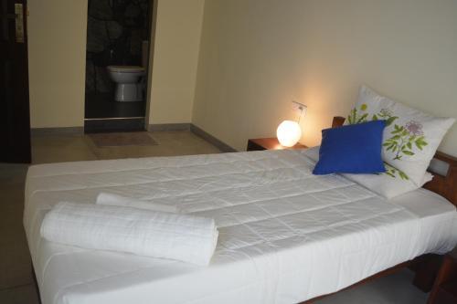 Дамбулла: Evergreen Hotel Dambulla