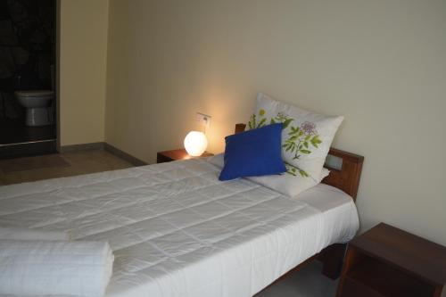 Дамбулла: Evergreen Hotel Dambulla