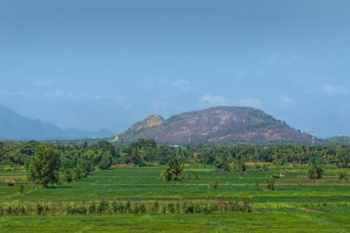 Дамбулла: Evergreen Hotel Dambulla