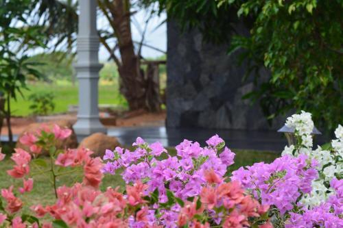Дамбулла: Evergreen Hotel Dambulla