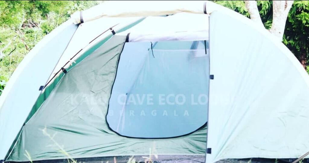Kallycave Eco Lodge — фото 1