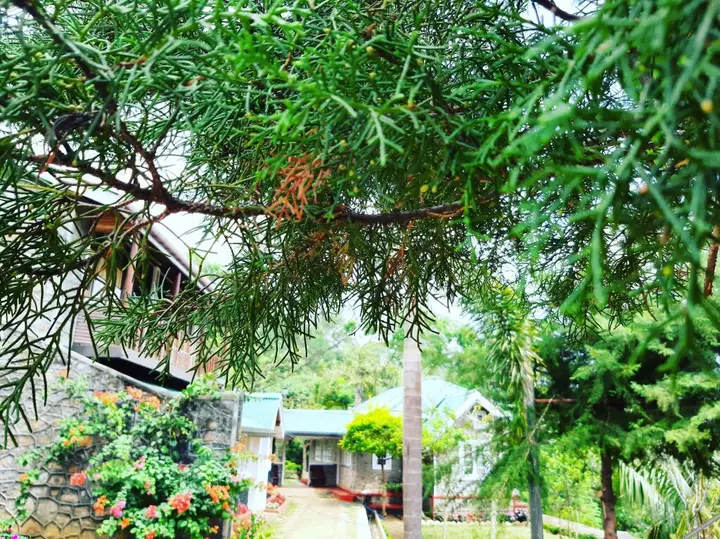 Kallycave Eco Lodge — фото 2