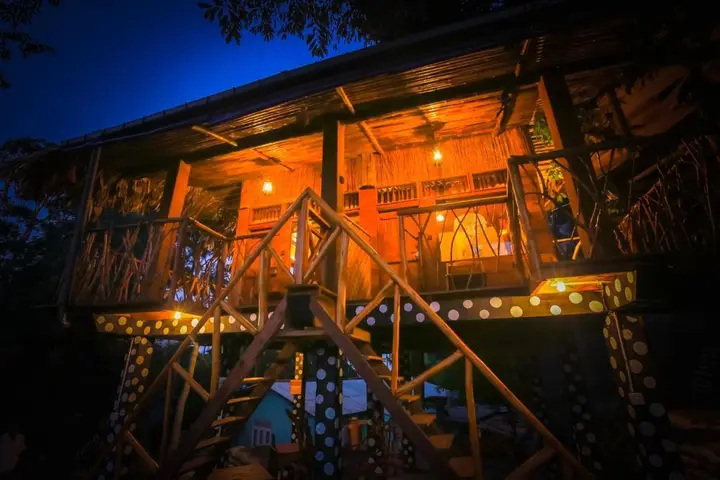 Элла: The Winsome & Tree House
