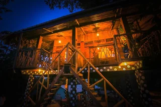 Элла: The Winsome & Tree House