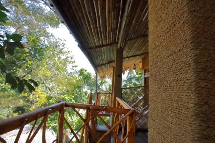Элла: The Winsome & Tree House