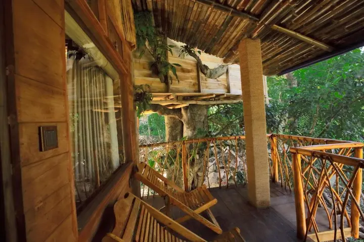 Элла: The Winsome & Tree House