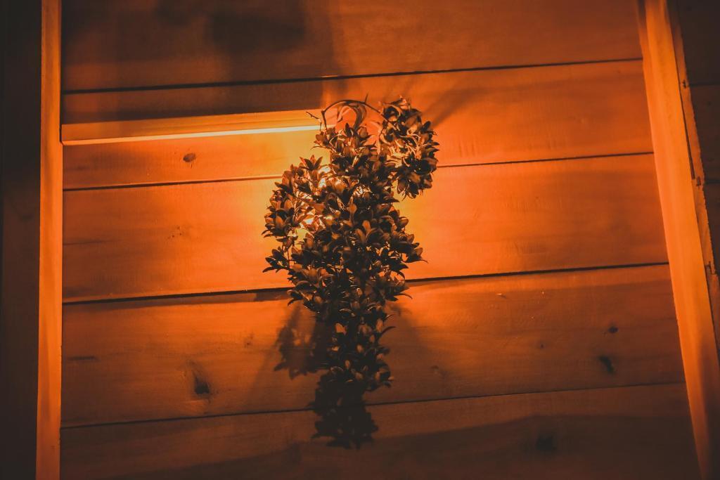 Элла: The Winsome & Tree House