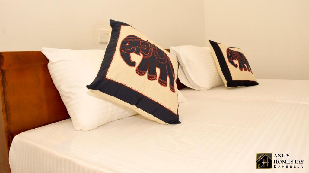 Дамбулла: Anu's Homestay Dambulla