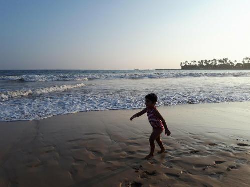 Green Beach — фото 2