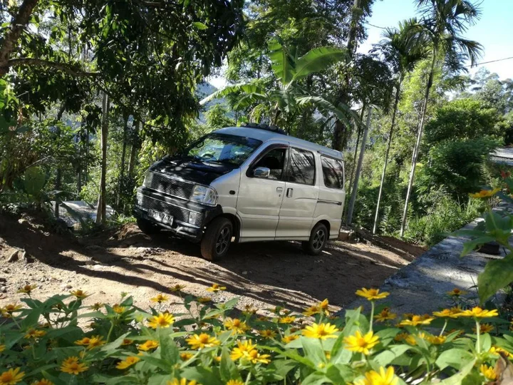 Элла: Ella Sunrise