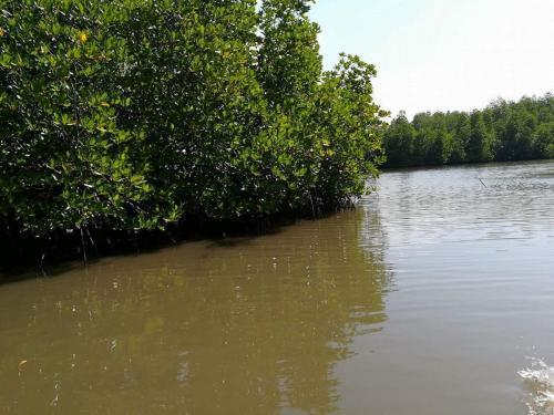 Ахангама: The Mangroves Villa Goviyapana