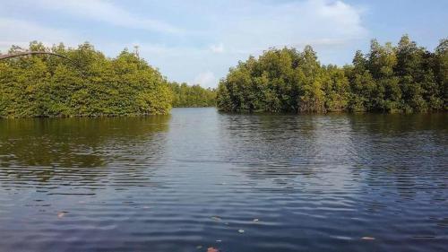 Ахангама: The Mangroves Villa Goviyapana
