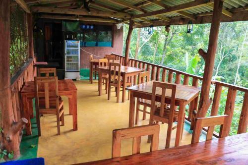 Элла: Yoho Tea Forest Lodge