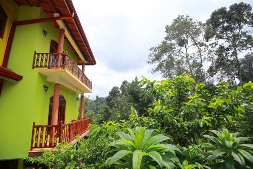 Элла: Yoho Tea Forest Lodge