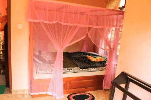 Элла: Yoho Tea Forest Lodge