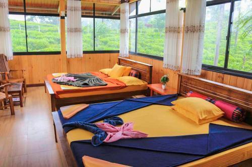 Элла: Yoho Tea Forest Lodge
