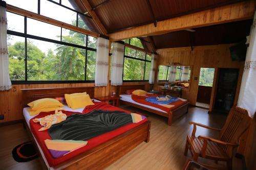 Элла: Yoho Tea Forest Lodge
