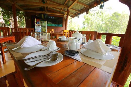 Элла: Yoho Tea Forest Lodge
