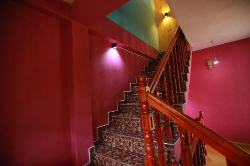 Элла: Yoho Tea Forest Lodge