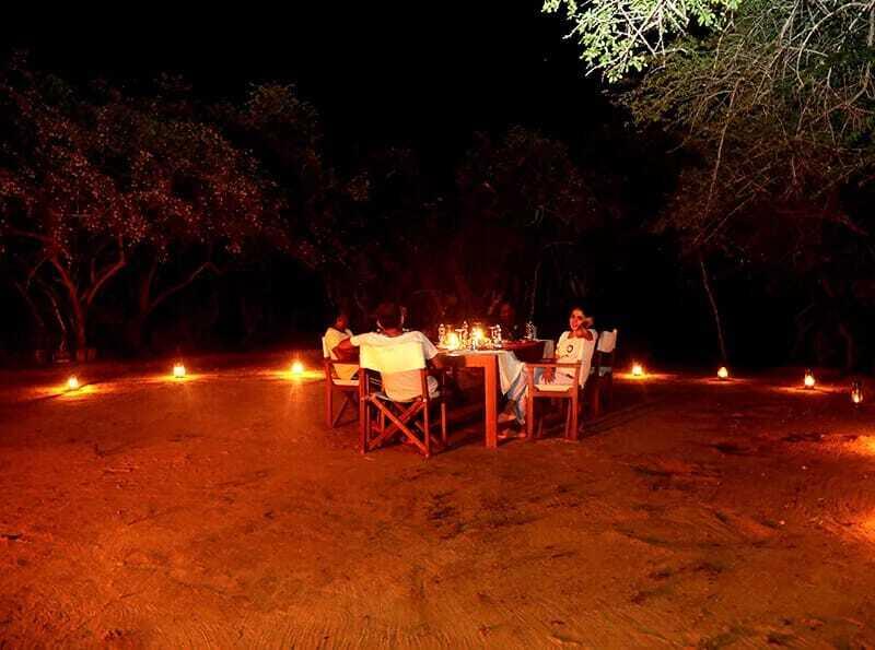 Отель Camping Yala Hotel Ravana luxury Safari Camp Tents — фото 6