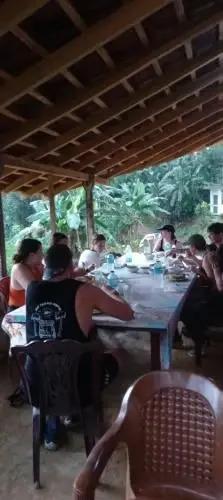 Поддана: Rainforest Holiday Inn