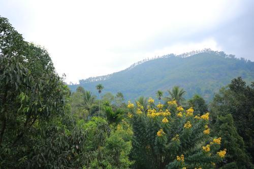 Элла: Sadula Homestay Ella