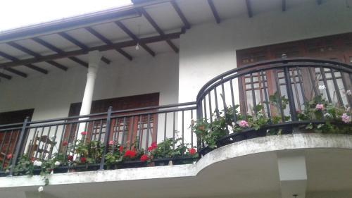 Элла: Sadula Homestay Ella