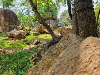 Дамбулла: Dambulla Village Hotel
