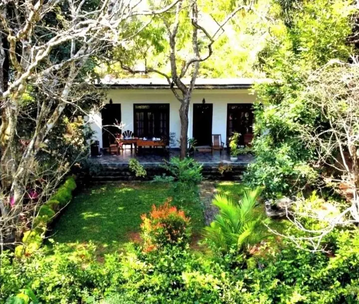 The Cattleya Guest House — фото 1