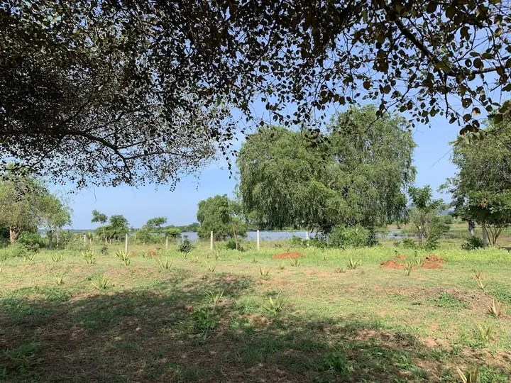 Киринда: thihawa eco huts yala