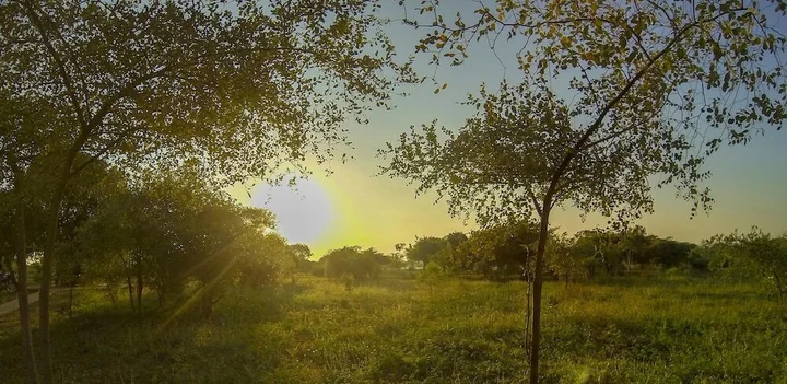 Киринда: thihawa eco huts yala