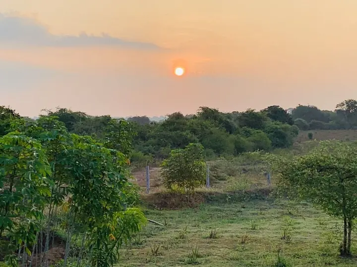 Киринда: thihawa eco huts yala