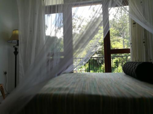 Элла: Hill Breeze Inn