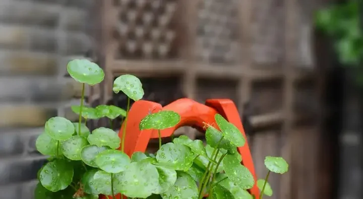 Шанхай: Zhouzhuang Romantic Traveling Residence No. 5 Town Panorama Hotel
