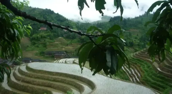 Longsheng: Longji Terraced Fields Jing Liu Ren Inn