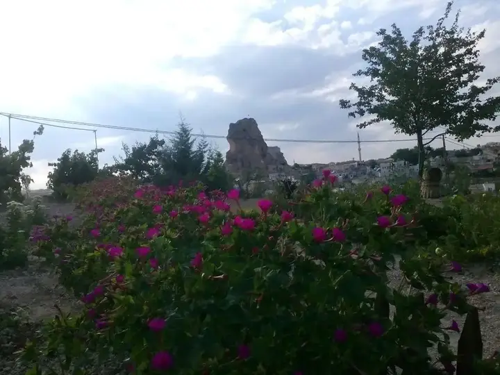 Kapadokya Karşı Bağ Camping — фото 1