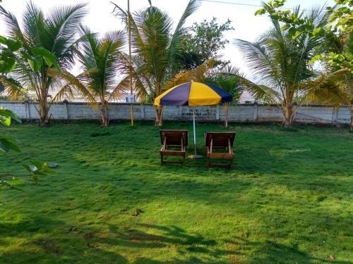 Киим: Birje HomeStay