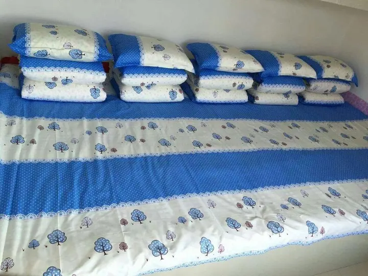Харбин: Snow Valley Hostel Wuchang