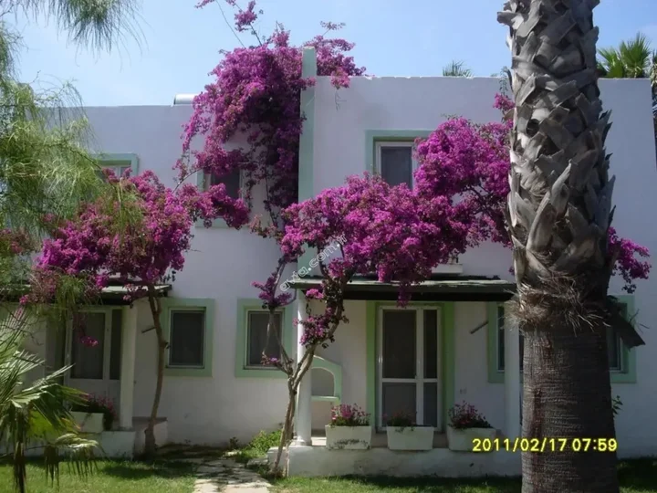 Тургутрейс: Avta Tatil Koyu