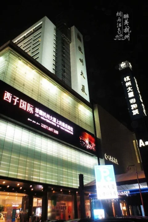 Ханчжоу: Hangzhou Nine One Nine Hotel