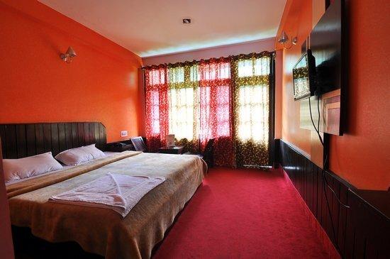 Манали: Hotel Devidyar
