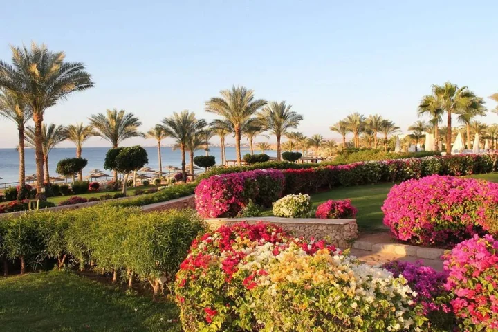 Шарм-эш-Шейх (Шарм-эль-Шейх): T continental Garden Reef Resort - All Inclusive
