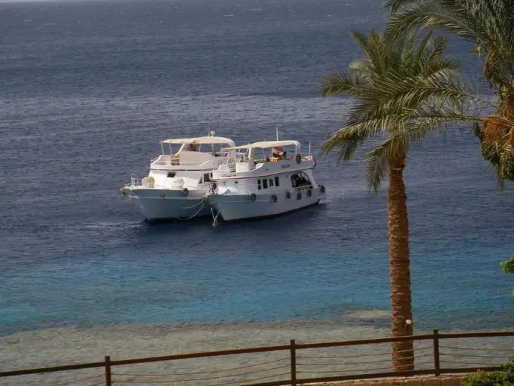 Шарм-эш-Шейх (Шарм-эль-Шейх): T continental Garden Reef Resort - All Inclusive