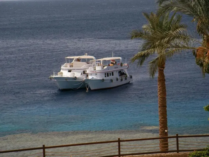 Шарм-эш-Шейх (Шарм-эль-Шейх): T continental Garden Reef Resort - All Inclusive