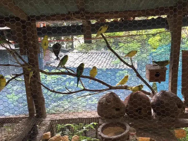 Ella Sumanaramaya Inn — фото 4