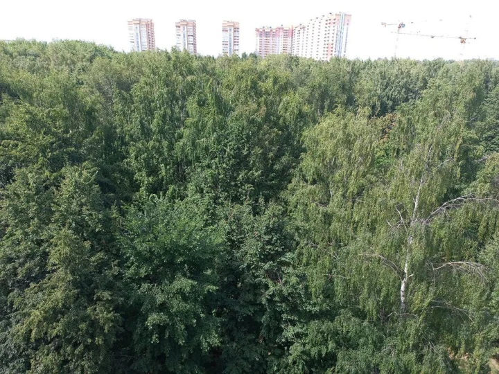Владимир: Апартаменты Home Away From Home