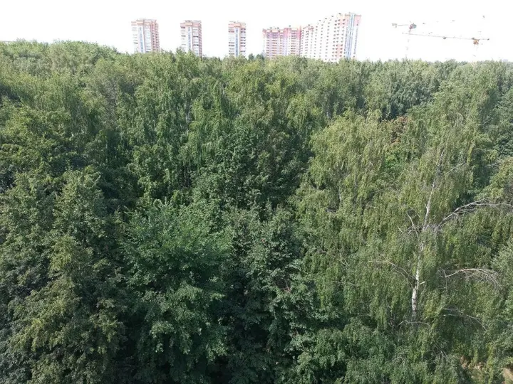 Владимир: Апартаменты Home Away From Home