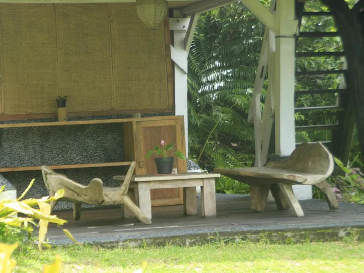 Батурити: Warung Rekreasi Bedugul Hotel